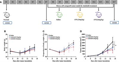 Serum Eicosanoids Metabolomics Profile in a Mouse Model of Renal Cell Carcinoma: Predicting the Antitumor Efficacy of Anlotinib